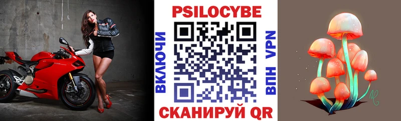 Псилоцибиновые грибы Psilocybe  Колпашево 
